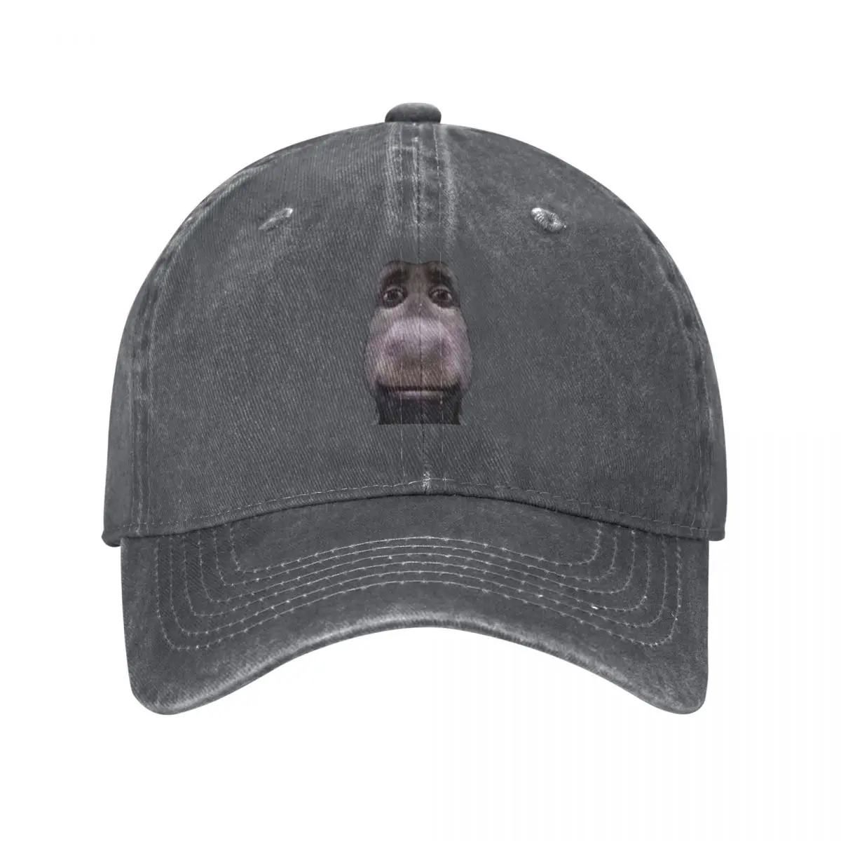 Donkey stares into your soul Baseball Cap Sun Cap Hat Baseball Cap Boy Women's