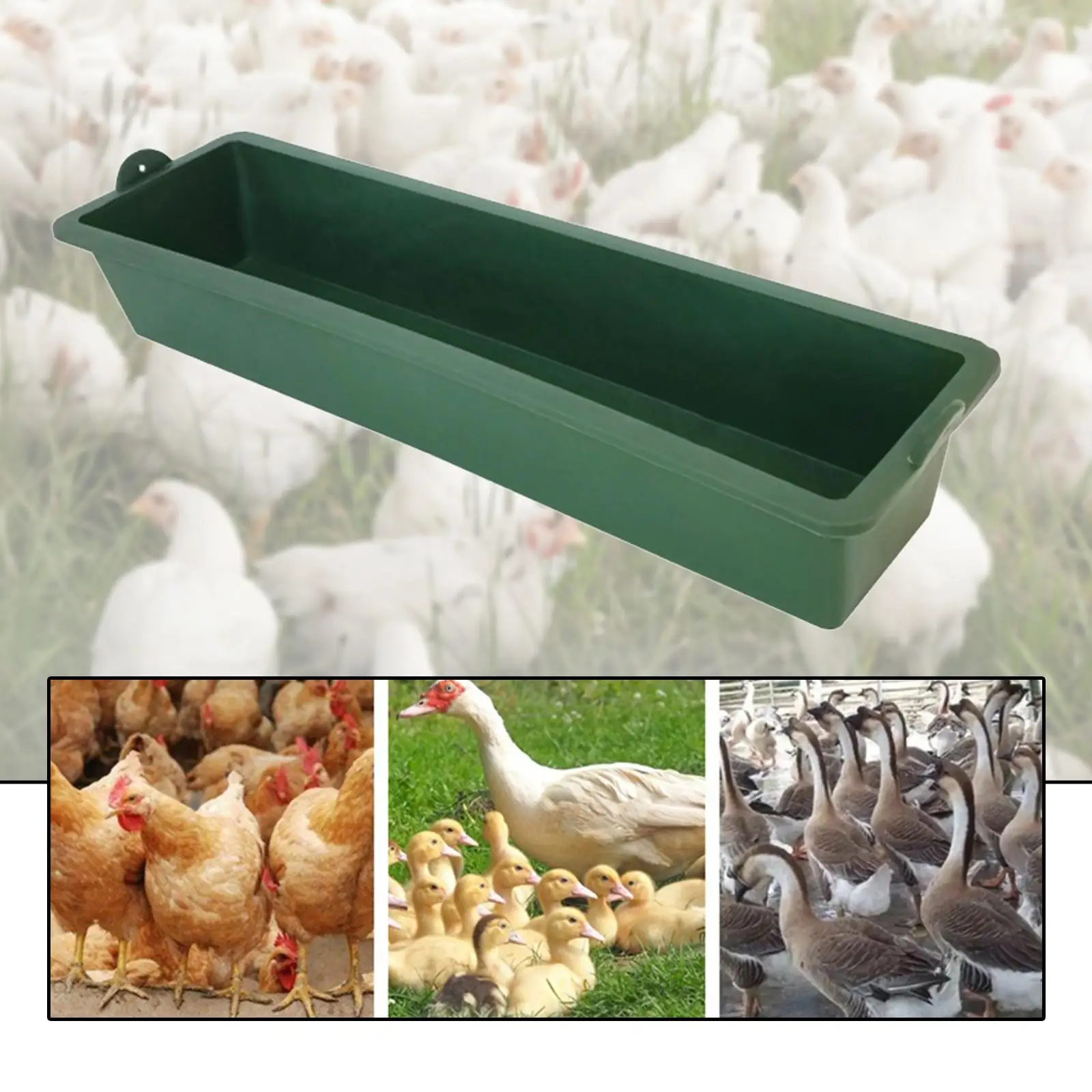 Tolva comedero colgante para gallinas y pollos – Plástico resistente - imagen 2