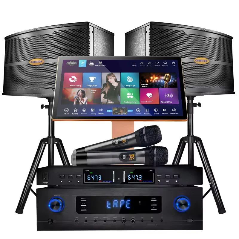 26 Language Professional Karaoke System 10 Inches Speaker 19.5/22 Inches Touch Screen Music Player 550W Amplifier 2 Pcs Wireless