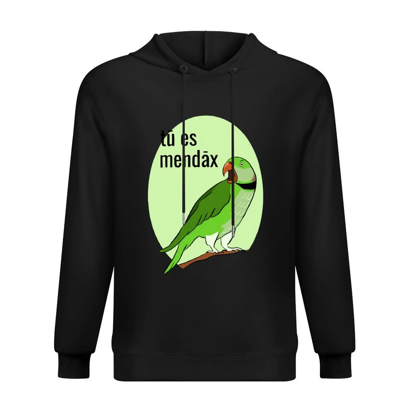 

tū es mendāx Hoodie mens clothes autumn clothes men's coat autumn new products autumn hoodie