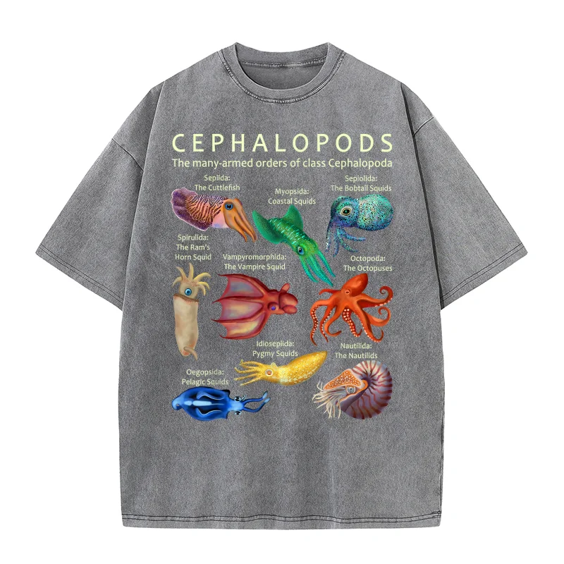 The Cephalopod Octopus Squid Cuttlefish and Nautilus Pure Cotton T-shirt For Man Art Graphic Clothing
