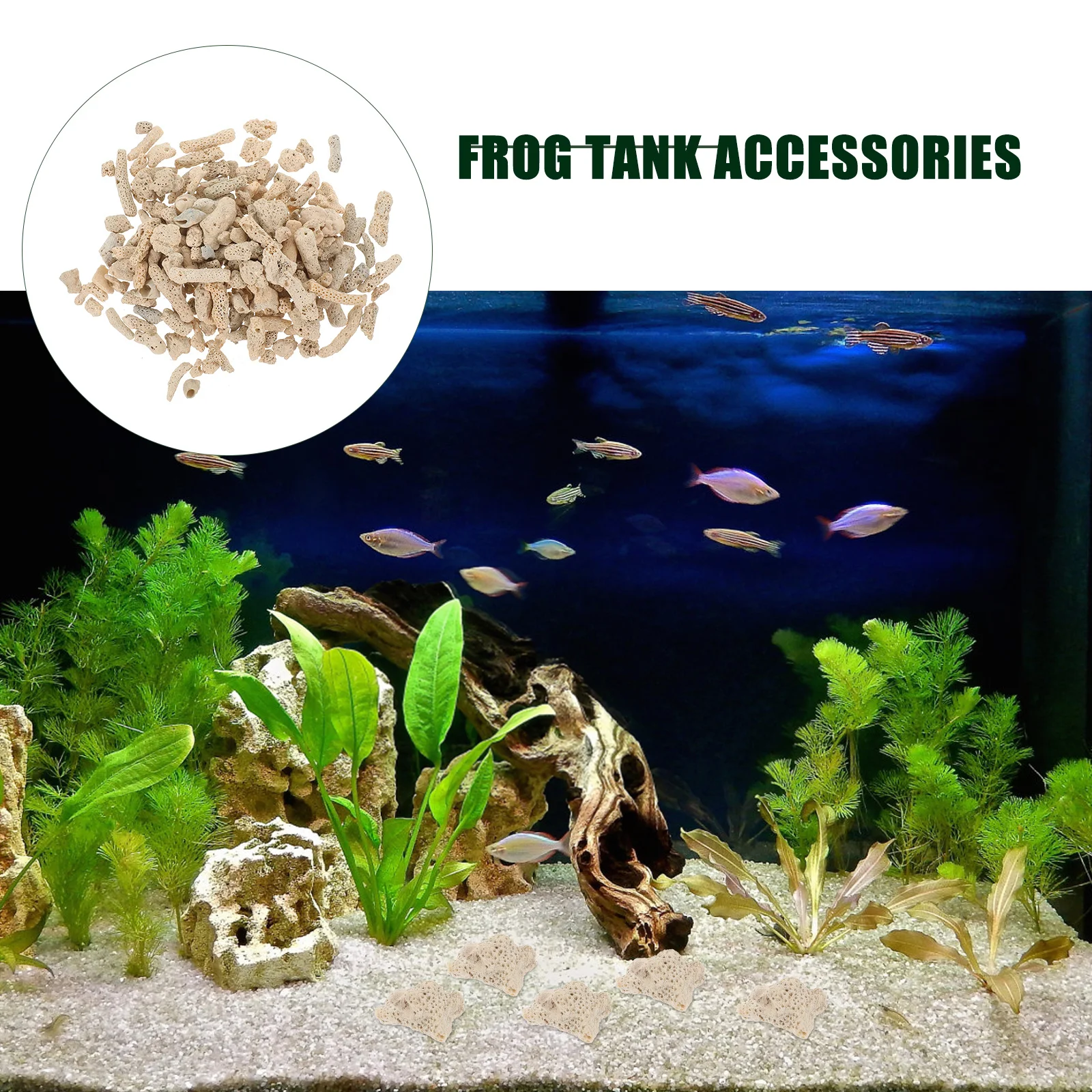 

Coral Bones for Aquarium High Density Filter Media Crushed Gravels Remove Debris Fish Tank Decor Crushed Coral for Aquarium