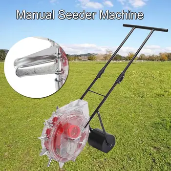 8 best sales Semillas de tomate - №7