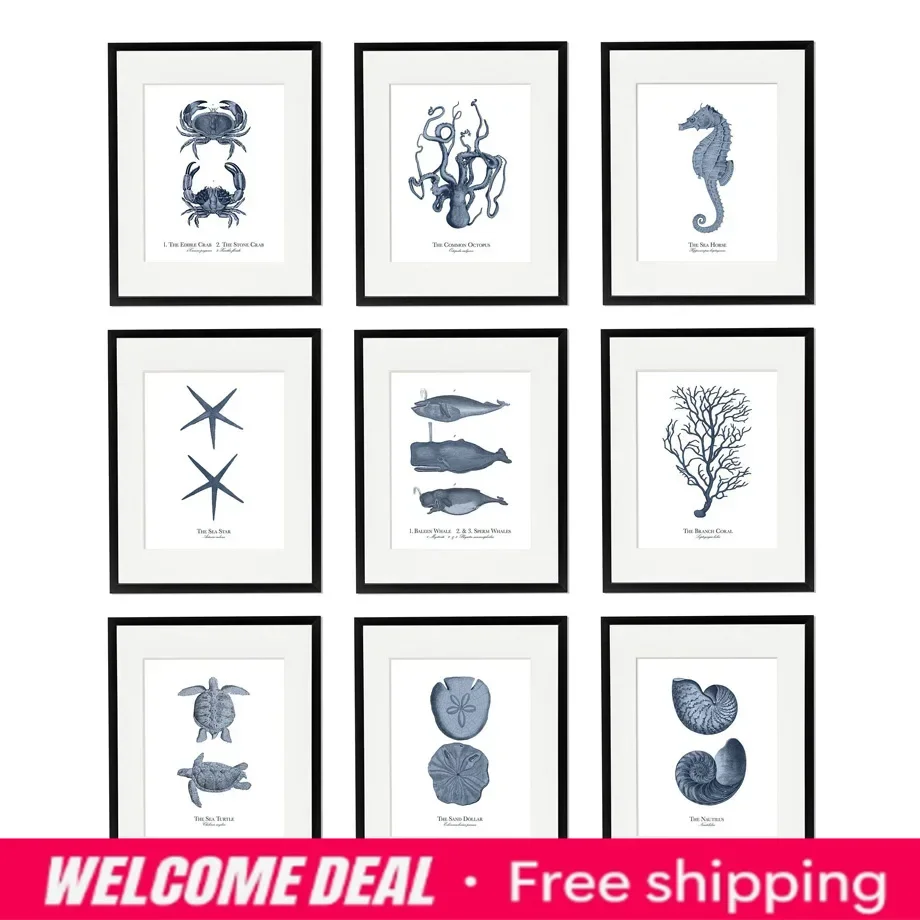 2026  Blue Fossil Octopus Fish Turtle Seahorse Coral Vintage Posters Prints Wall Art Mural Canvas Painting Pictures Living Ro