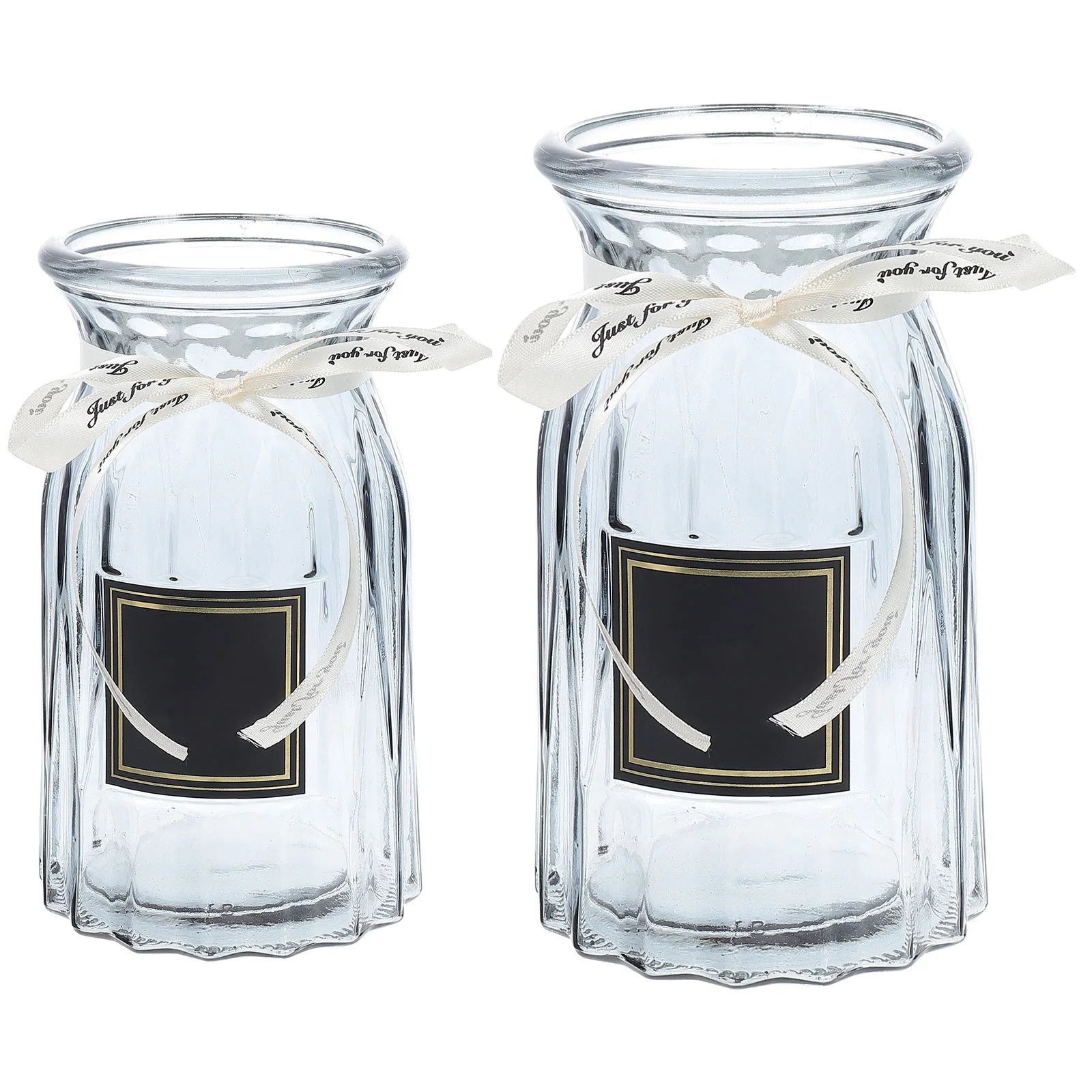 

2 Pcs Decorations Decorative Simple Glass Vase Clear Vases for Modern Bud Small Home