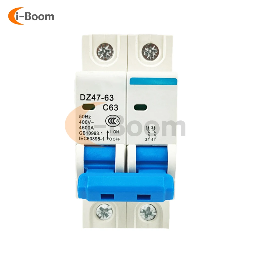 DZ47-63 AC 110/220V 2P Air Switch Small Circuit Breaker 2P Electrical Switch Micro Circuit Breaker C45 Switch Rail Mounting