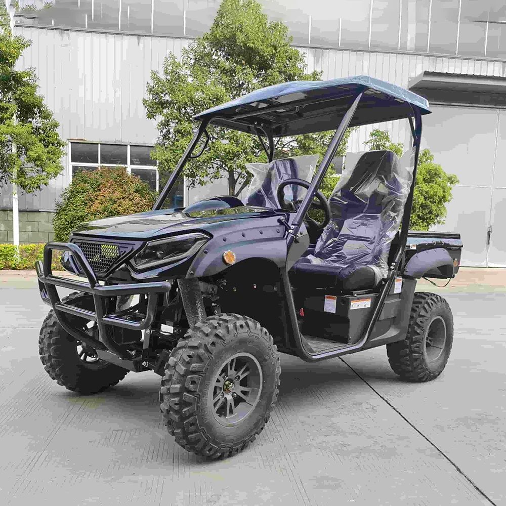 SXLL High Quality Automatic 10KW 2 Seater Electric UTV Utility Vehicle Side by Side off Road Buggy Street Legal with EEC Certifi