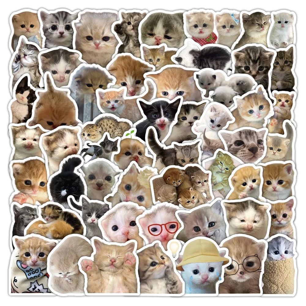 70 Stück Niedliche Katzen Cartoon Graffiti Aufkleber Kawaii Kätzchen Sticker DIY Gepäck Handy Gitarre Scrapbook Wasserfeste Aufkleber Kinderspielzeug