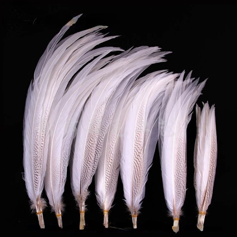 10Pcs/lot White color lady amherst pheasant silver feather 30-55cm long silver white chicken tail Feathers feathers decoration