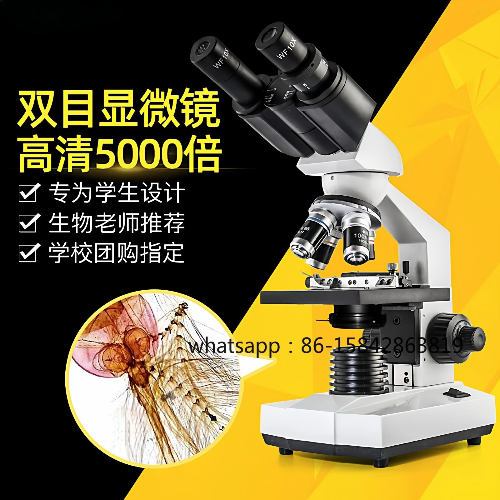 Microscope 10,000 times home professional to see sperm sperm essence high times medical