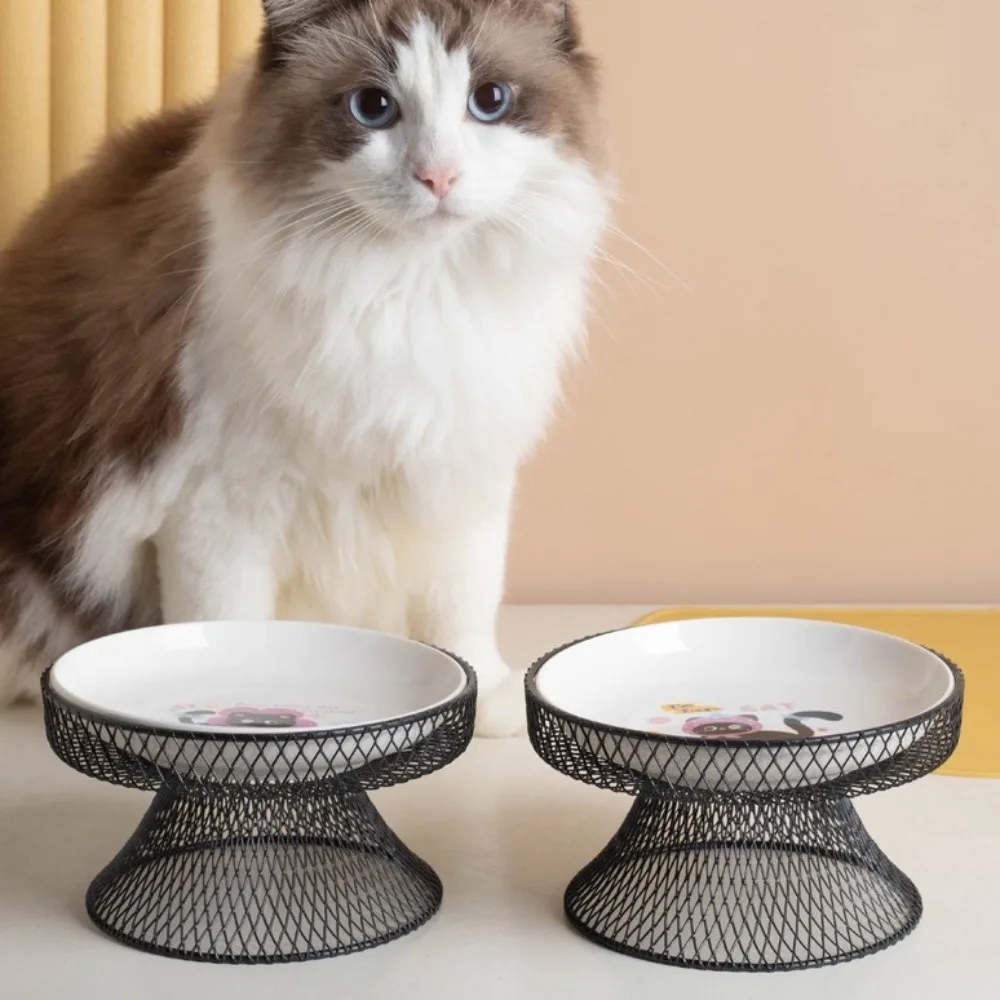 Non-Slip Elevated Pet Bowl No Spill Large Capacity Ceramic Cat Bowl with Stand Cat Feeding Station Wet And Dry Food