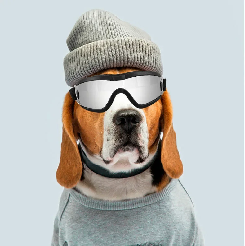 جديد كلب الديكور النظارات الشمسية تيدي نظارات الحيوانات الأليفة Y2K Schnauzer الكلب نظارات حماية من الأشعة فوق البنفسجية UV400