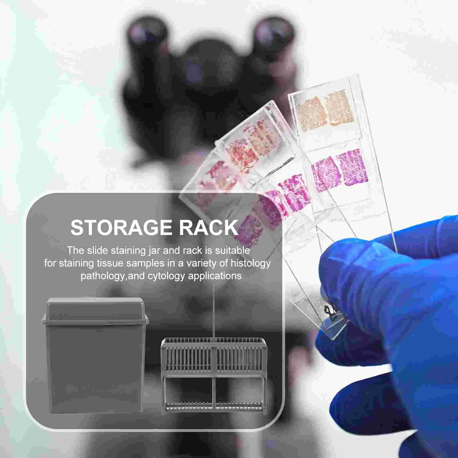 Slide Rack Microscope Slides Staining Jar Plastic 24 Slots Storage for Laboratory Magnifying Eye Glasses