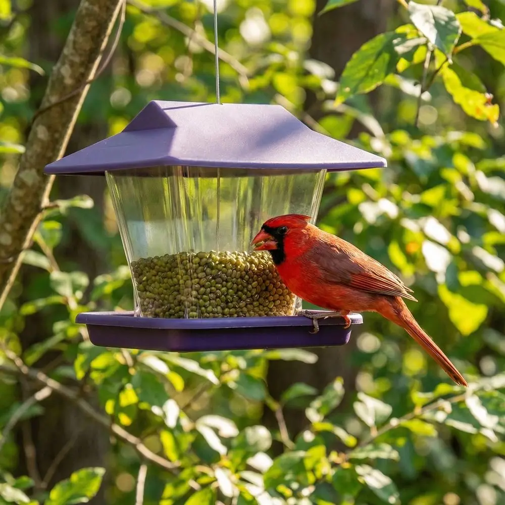 

Large Capacity Hanging Bird Feeder House Type Waterproof Automatic Hummingbird Feeder Leak-Proof Transparent