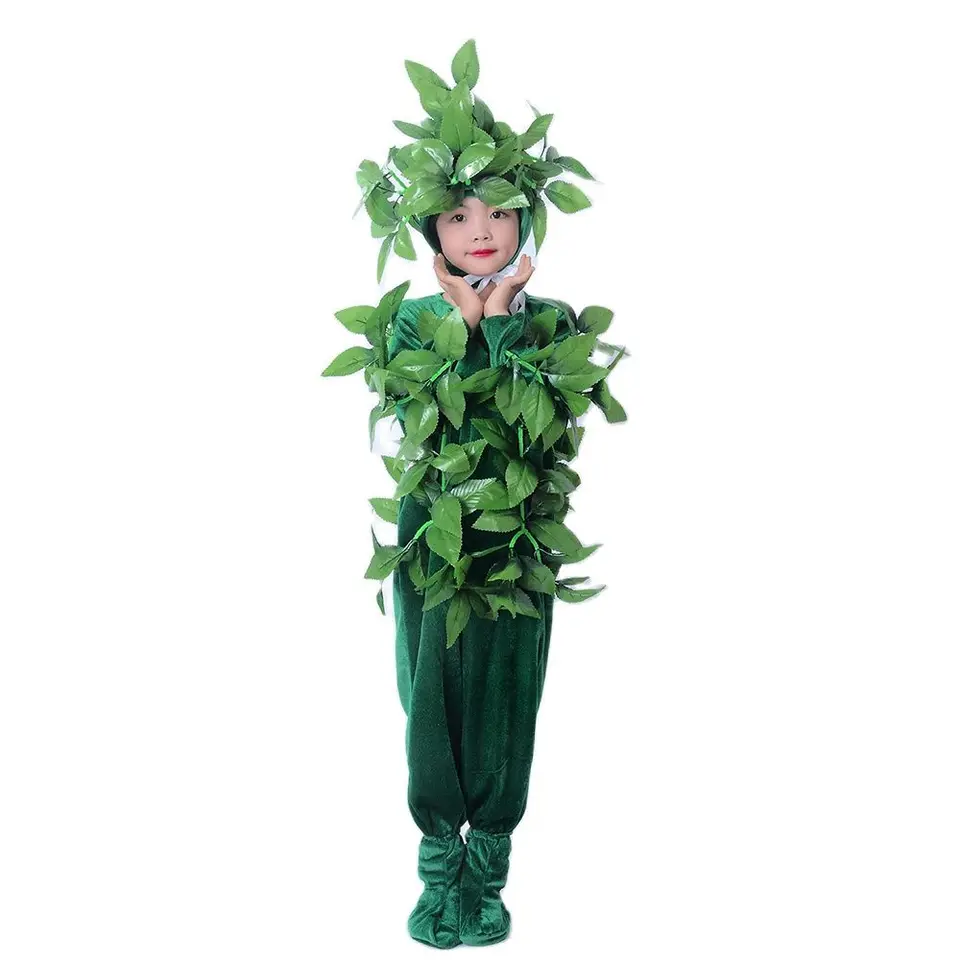 baba adam plant Ashitaba Seeds AKA 
