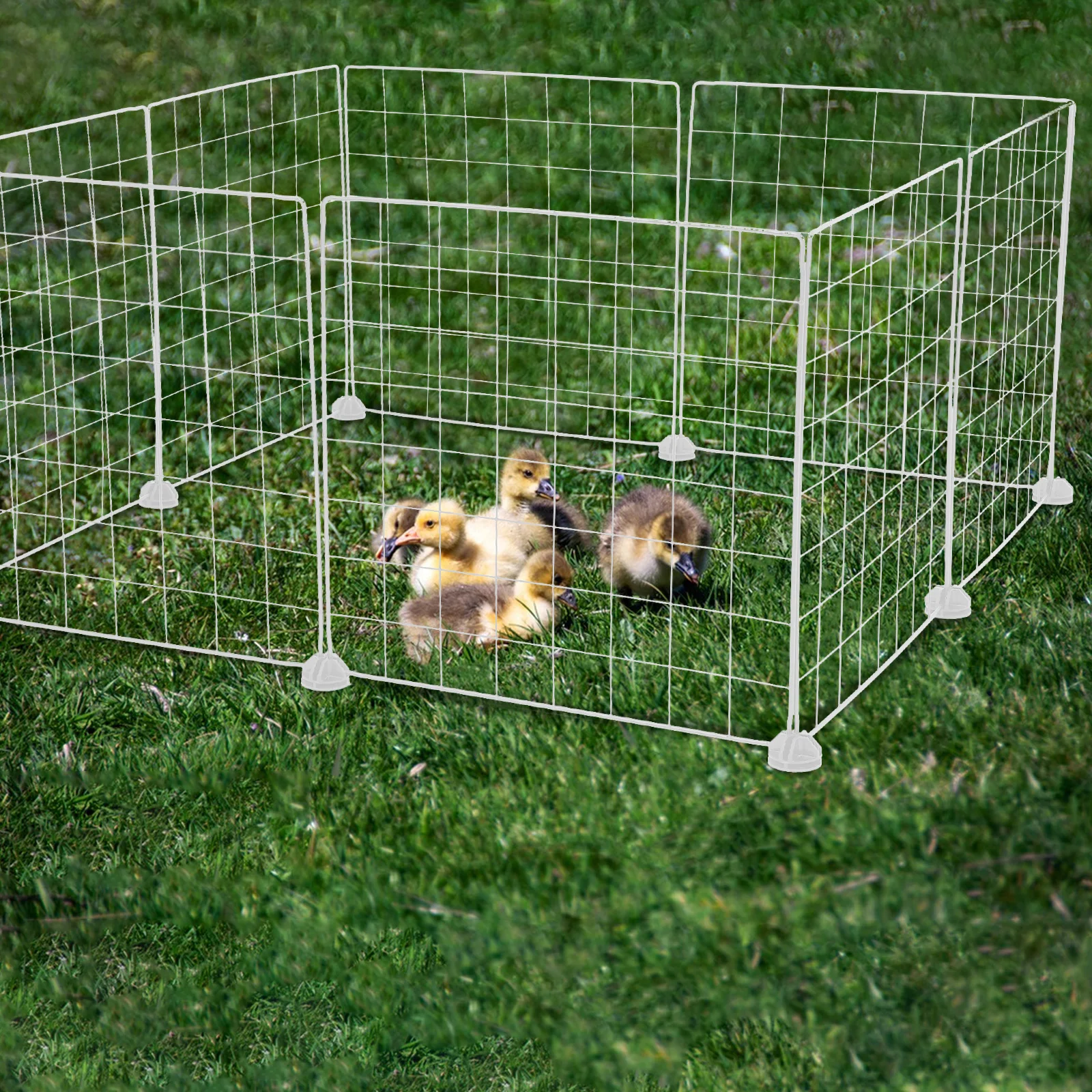 

Small Animal Fence Cat Playpen Bunny Carrier Clear Pet Dog Barrier Cage Divider for Guinea Pigs Acrylic Indoor