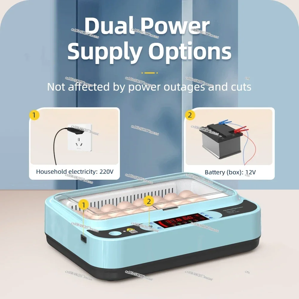 

Intelligent 64 Eggs Chicken Bird Incubator for Hatching Chicken Duck Quail Eggs Farm Use