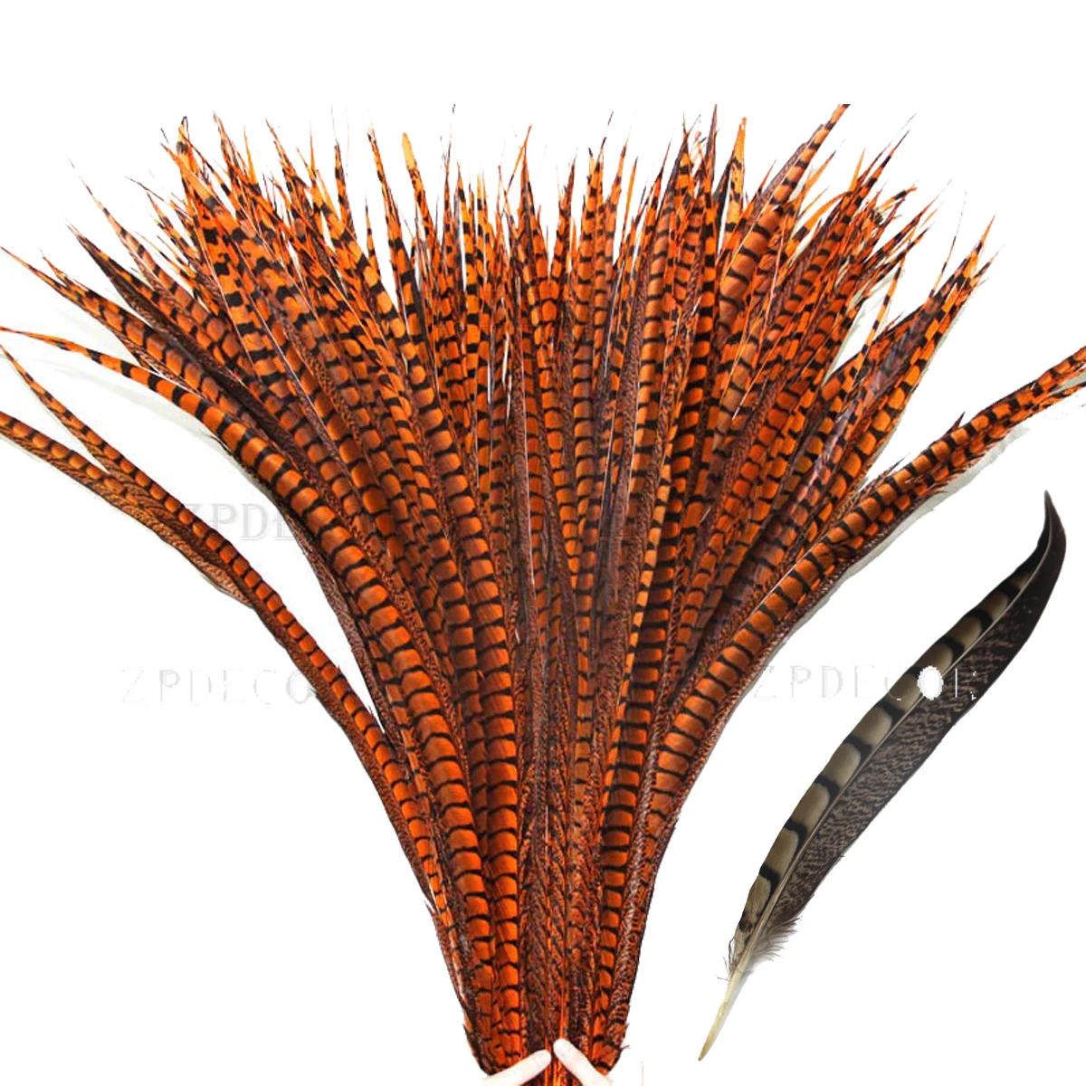 ZPDECOR 70-120cm/28-48 Inch Lady pheasant Feathers 100 pieces per pack for DIY Feather Handicrafts
