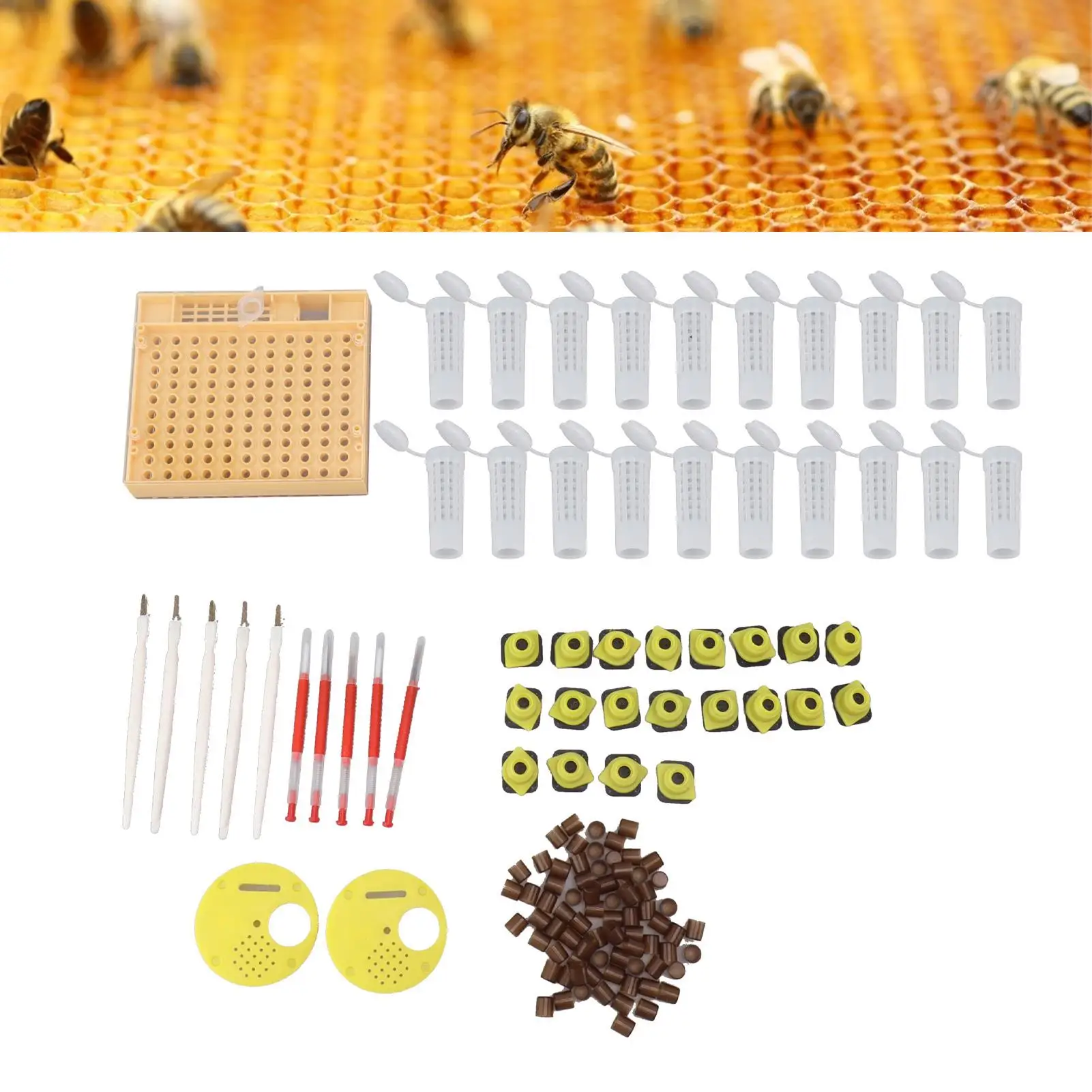 Durable Queen Bee Rearing Grafting Kit with 110 Cell Cups Plastic Safe Healthy Beekeeping Tool Cost Effective for Farmers