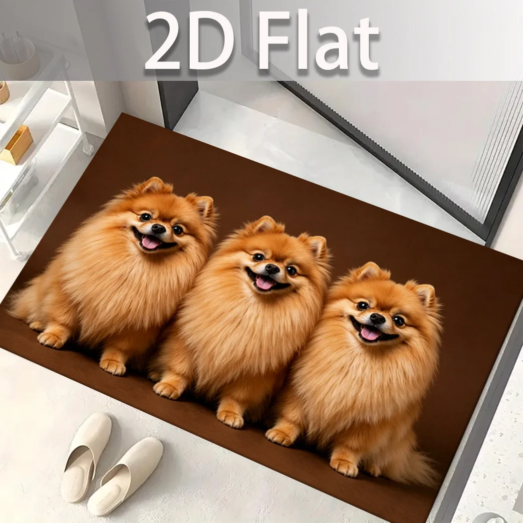 Pomeranian Trio Smile Brown Carpet Fluffy Orange Fur Joyful Expression Print Non Slip Rug For Small Dog Lover Room Decor
