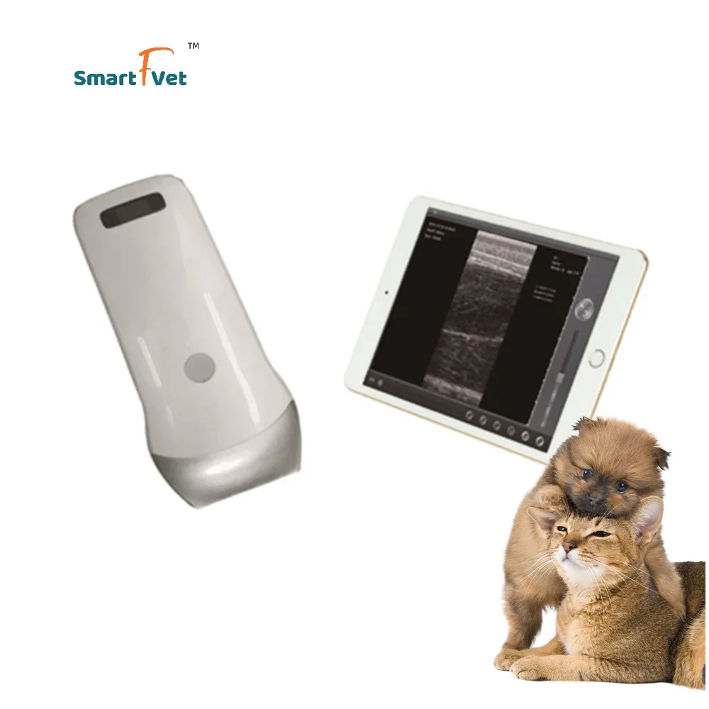 Smart F Vet Mini Veterinary Wireless Ultrasound Probe For Animals