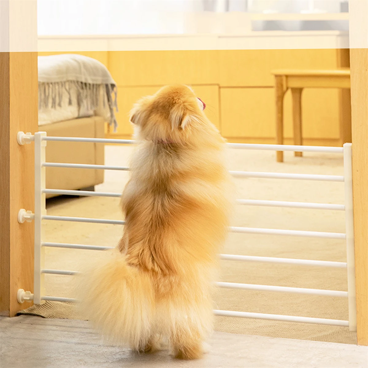 Thumbnail 2 - #3 Trending Pet Doors Right Now