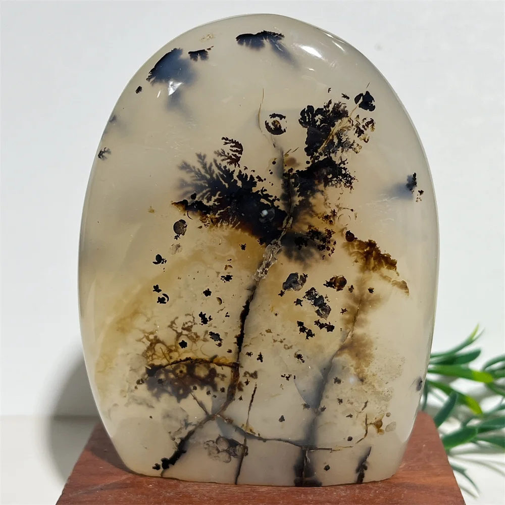 Crystal Natural Agate Branch Free Form Stone Quartz Reiki Gemstone Flash Rainbow Healing Minerals Witchcraft Home Decoration