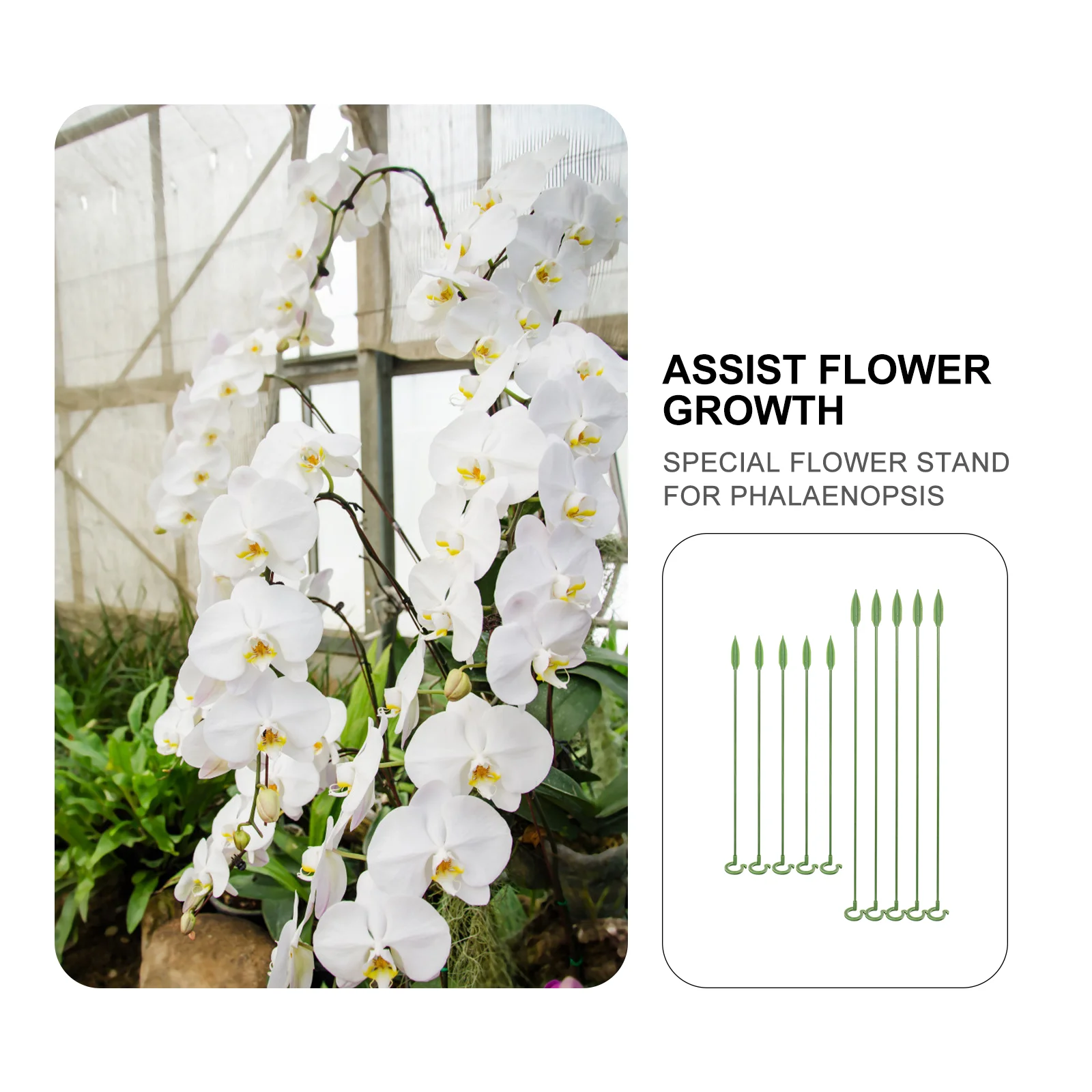 

10pcs Flower Stand Bracket Glass Fiber Portable Plant Support For Indoor Succulents Butterflies Orchid Potted Plants Fixed Rack