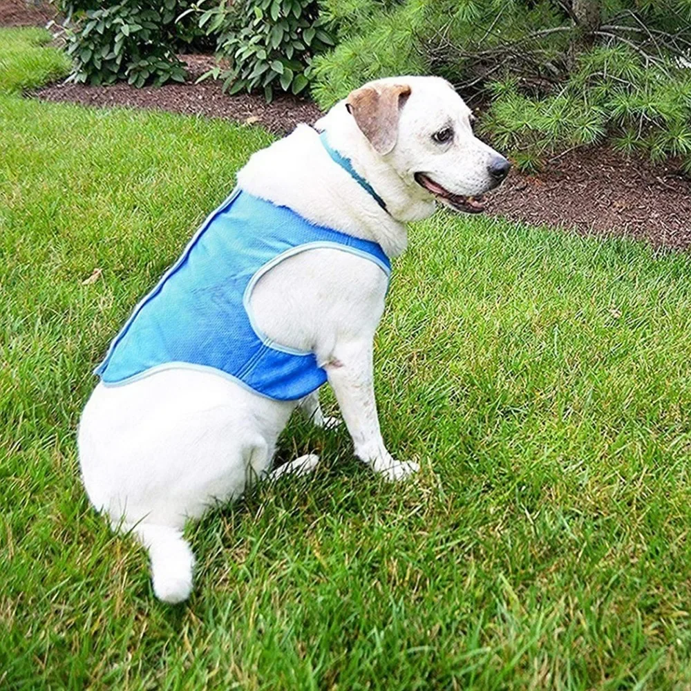 Summer Cooling Vest - Ultimate Heat Relief for Dogs and Cats Stylish Pet Apparel for Outdoor Activities Dog Vests