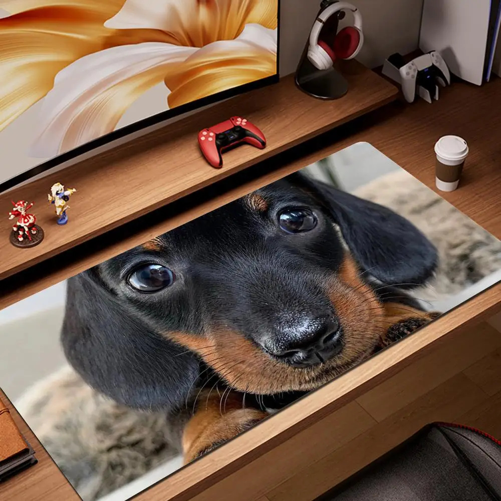

100x50 Animal Dog Dachshund Dackel Teckel Tablet Gamer Computer Laptop Mause Mouse Pad Mousepad Mice Mat Decorate Desk Keyboard