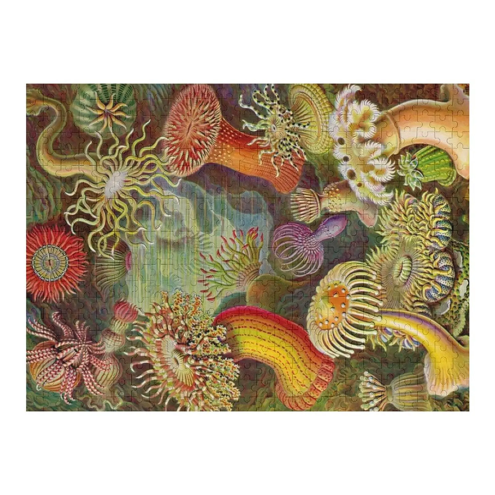 Anêmona do mar - Ernst Haeckel Quebra-cabeça de madeira para adultos Iq Crianças Quebra-cabeça de animais de madeira
