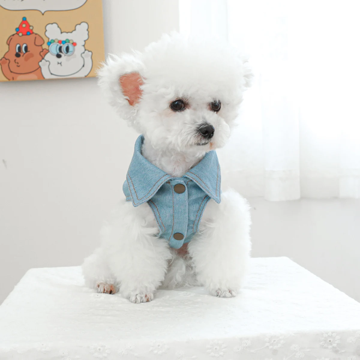 1PC Pet Clothing Dog Cat Spring handsome cowboy very busy cowboy leash coat suitable for small to medium sized dogs