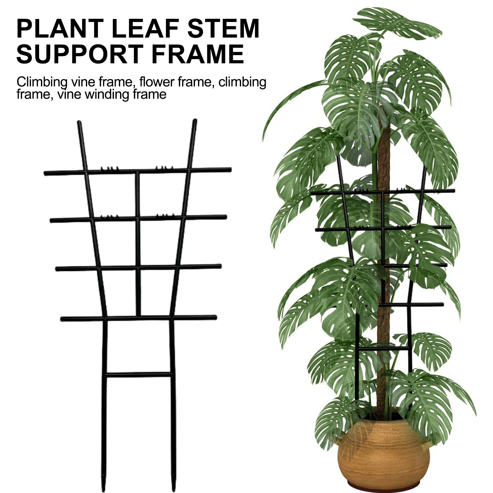 Variegated Monstera Node - Trellis Tanaman Plastik Hitam 1PCS, Dapat