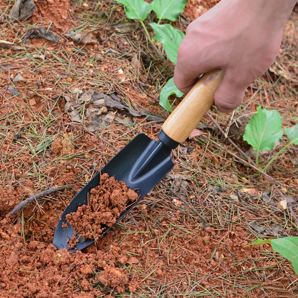 

2 Pcs Beech Gardening Shovel Tools Pumpkin Potted Plant Bamboo Mini Rake Kit Bonsai