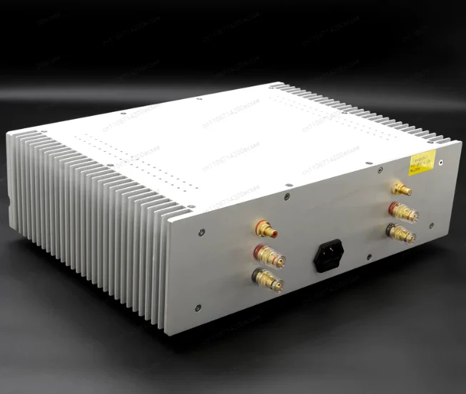 Two-channel rear amplifier D5Pro