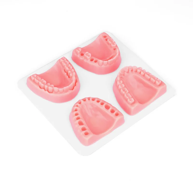 Medical Oral Tooth Simulation Suture Training Block Silicone Suture Pad General Surgery Suture Contact