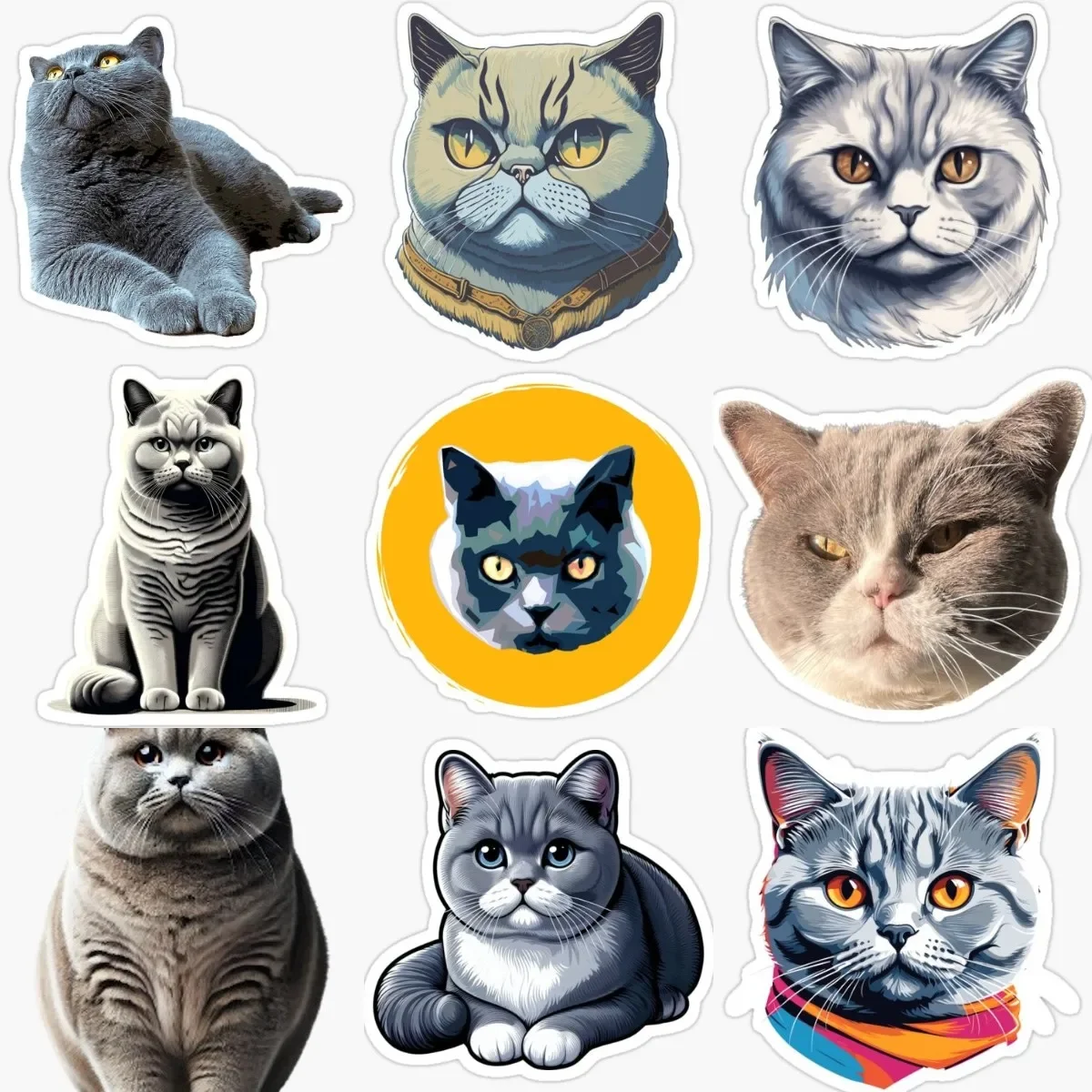

Cute British Shorthair Cat Pets PVC Sticker Decorate for Car Van Door Wall Window Bicycle Bumper Motorcycle Decal Accessories
