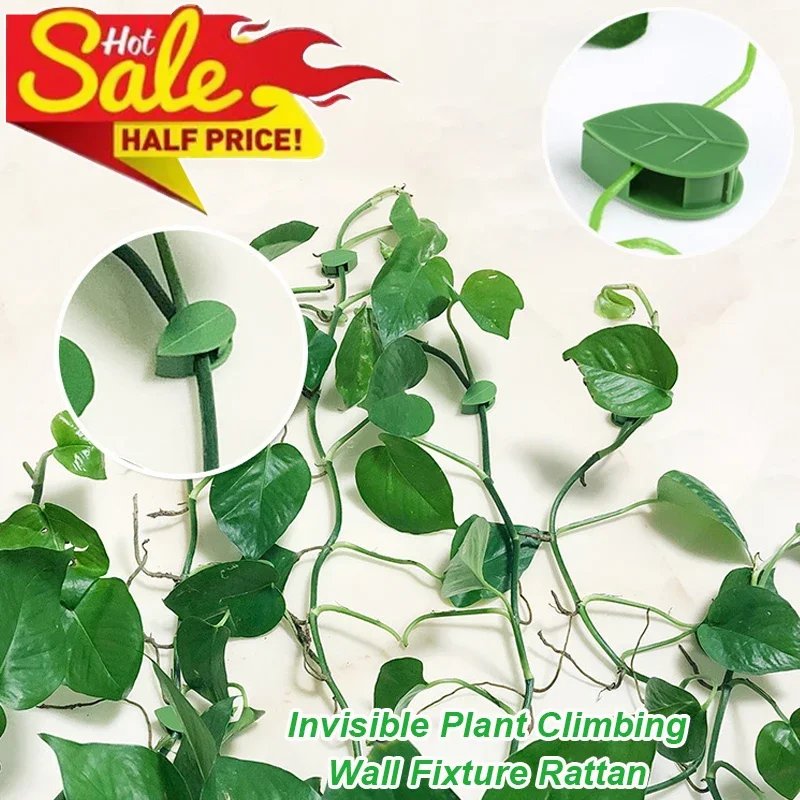 

Invisible Plant Climbing Wall Fixture Rattan self-adhesive Vine Bracket Fixed Buckle Leaf Clip Traction Holder Vines Fixing Tool