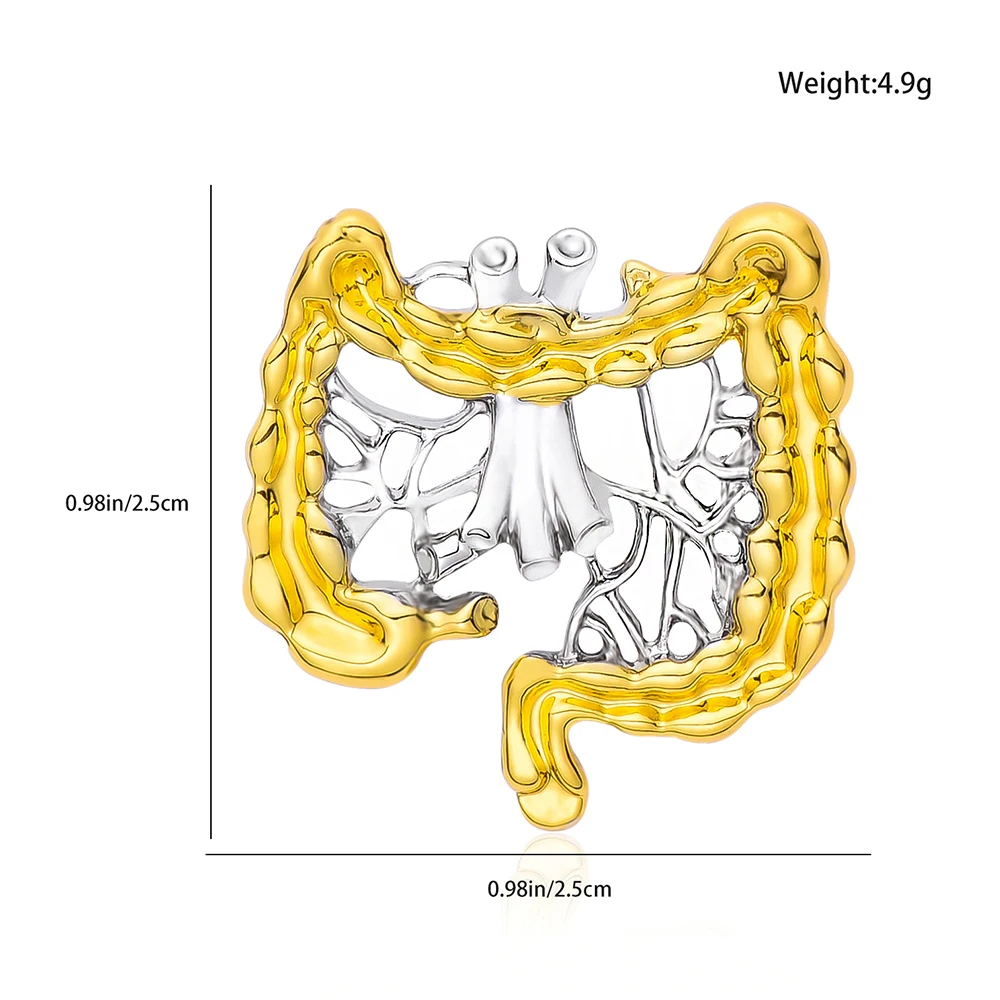 Medsor تشريح الأمعاء دبوس طبي علم المعدة بروش التلبيب الحبل شارة ظهره مجوهرات اكسسوارات هدية للطبيب ممرضة #6