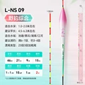 L  NS 09
