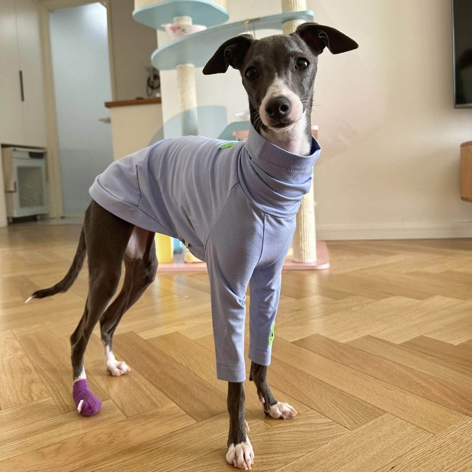 

Spring Summer 100%Cotton T-Shirt for Huibit Whipbit Soft Elastic Coat for Bedlington Greyhound Highneck Light Purple Dog Pajamas
