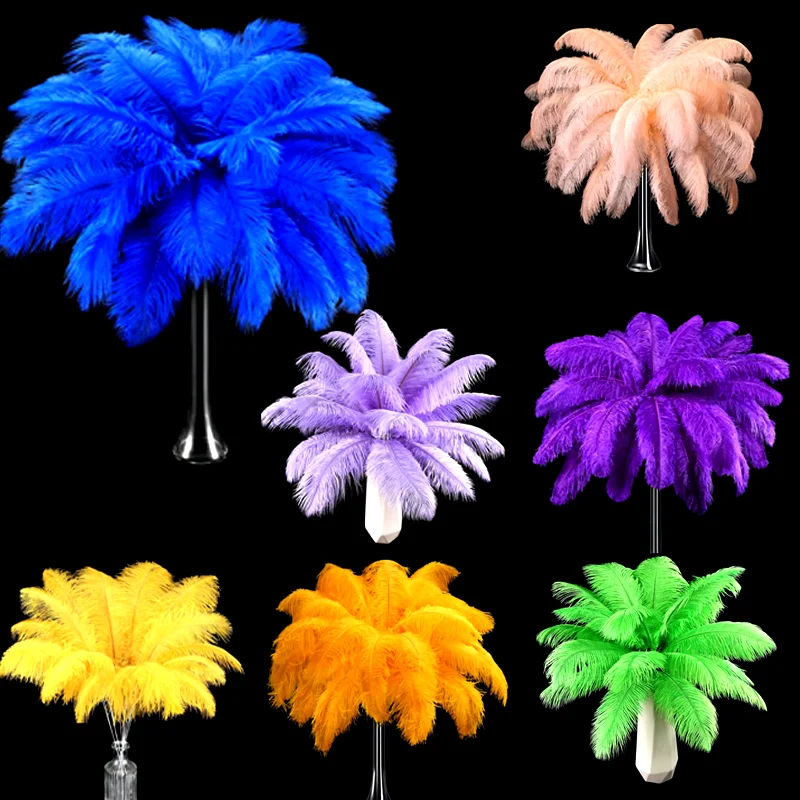 

10Pcs Colorful Ostrich Feathers for Wedding Centerpieces,Carnival Masks,DIY Craft Decor,Plumas DecoBulk Plumas Decoration Crafts
