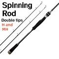 Spinning Rod