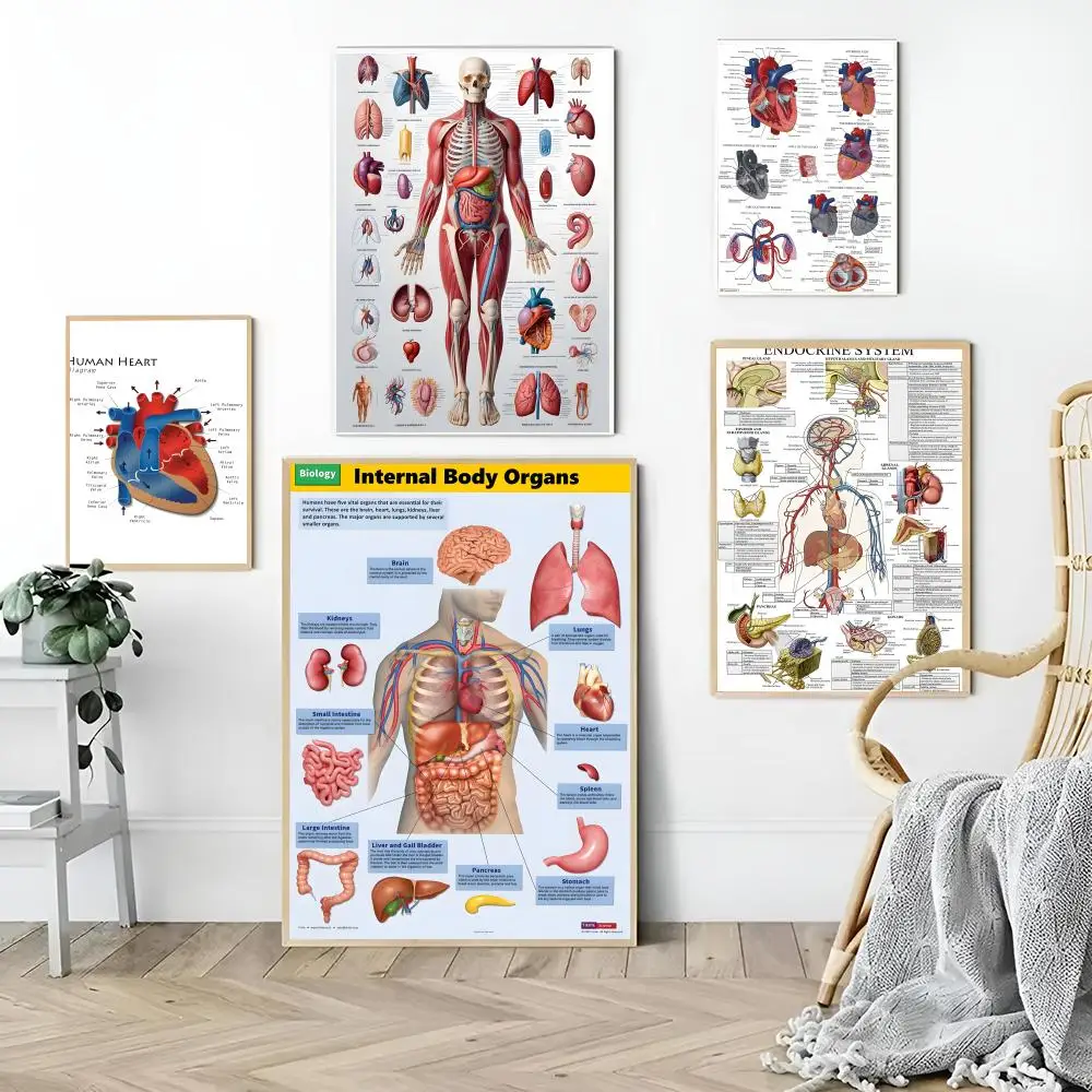 ملصق قماشي لهيكل جسم الإنسان، خالٍ من التجاعيد، مقاوم للماء، متين، ديكور جداري مثالي للمنزل، جميع المساحات #2
