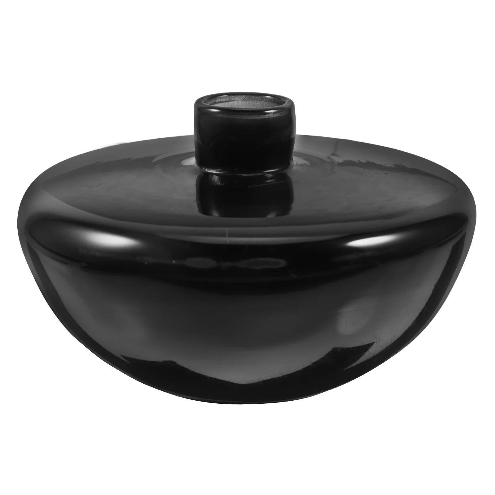 

Modern Round Glass Vase for Hydroponic Plants and Flowers Elegant Table Centerpiece Decorative Vase for Living Room Dining Area