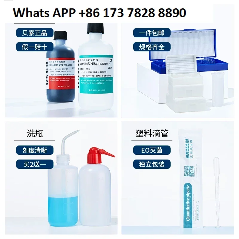 Rak Pewarnaan Baja Tahan Karat Kotak Basah Imunohistokimia 24 Buah Set Rak Slide Plastik Laboratorium