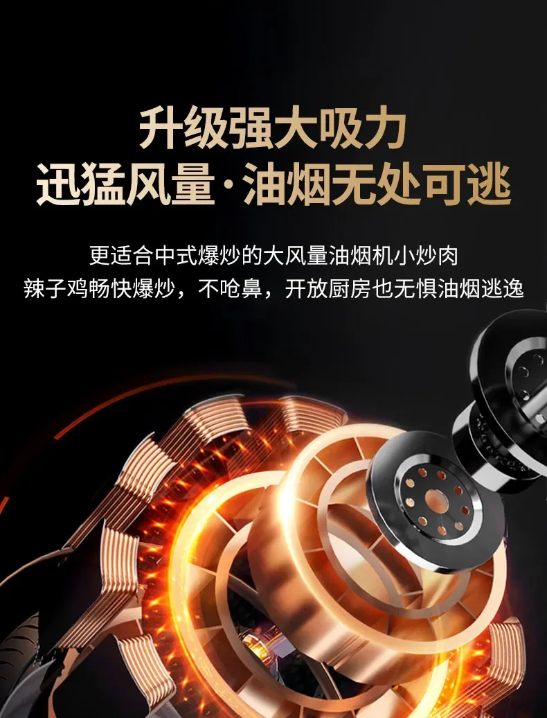 220V Royalstar Range Hood Side Suction Strong Power Dual Motor Wall Mounted Kitchen Extractor