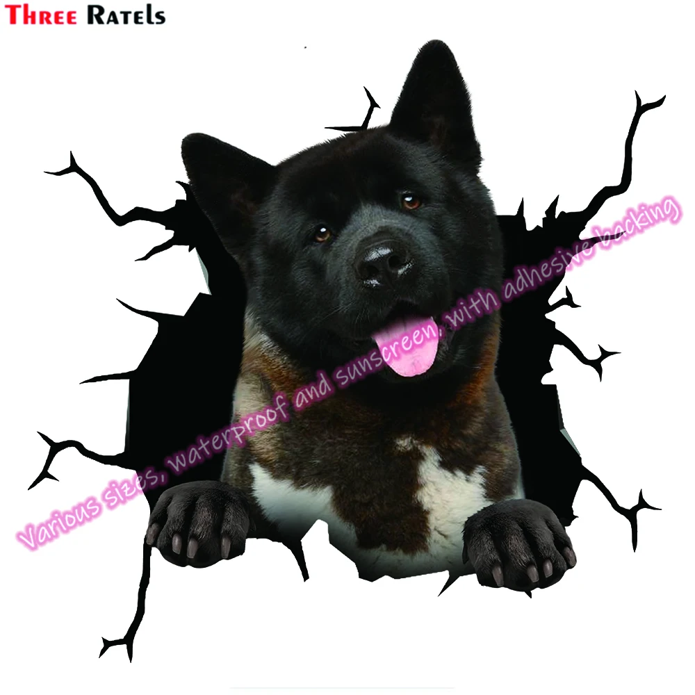 Three Ratels DA American Akita Puppy Stickers And Decals For Passat B6 Auto Decals Vinyl Material Waterproof Property