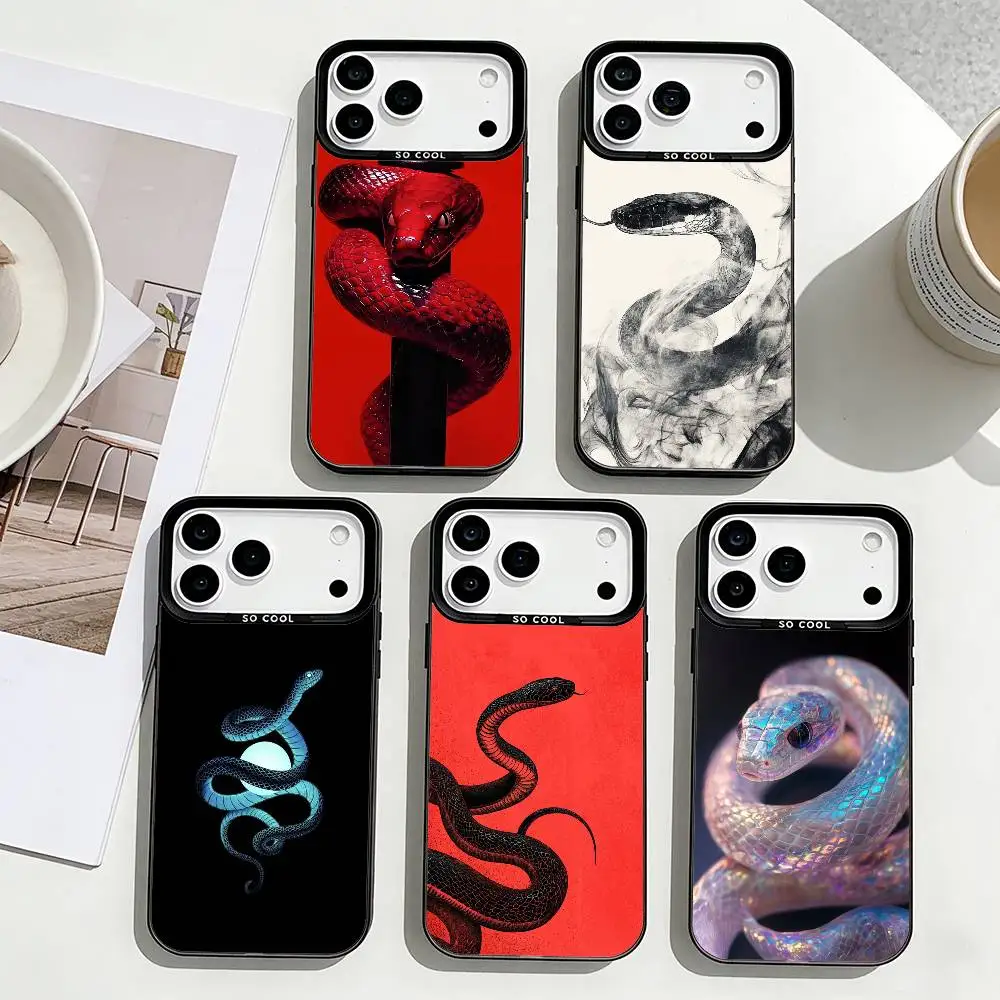 

Divine Wisdom snake Phone Case For iPhone17,16,15,14,13,12,11 Plus,Pro Max Black Border Silver Plated Cover