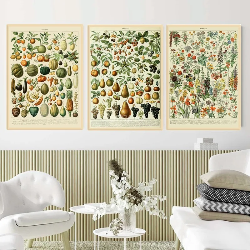 Vintage Animal Botanical Illustration Chart Poster Plants Flowers Birds Fruits Insects Canvas Painting Wall Art Room Home Decor